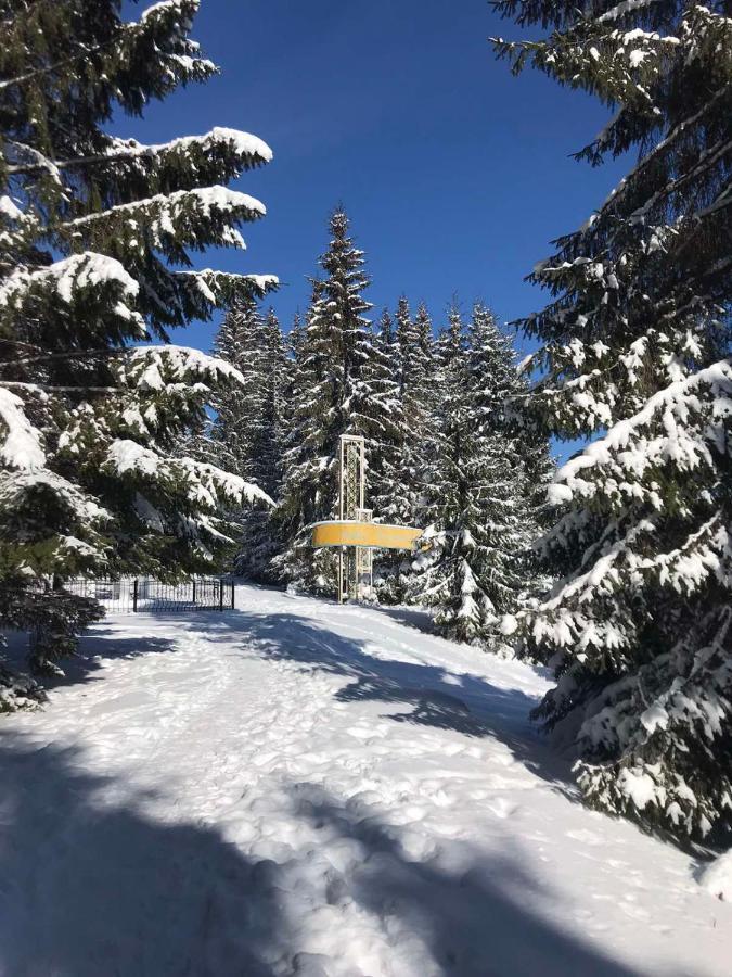 Hotel Bartka Yablunytsya Esterno foto